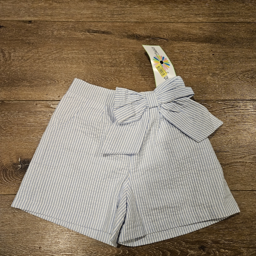 Counting Daisies Seersucker Shorts